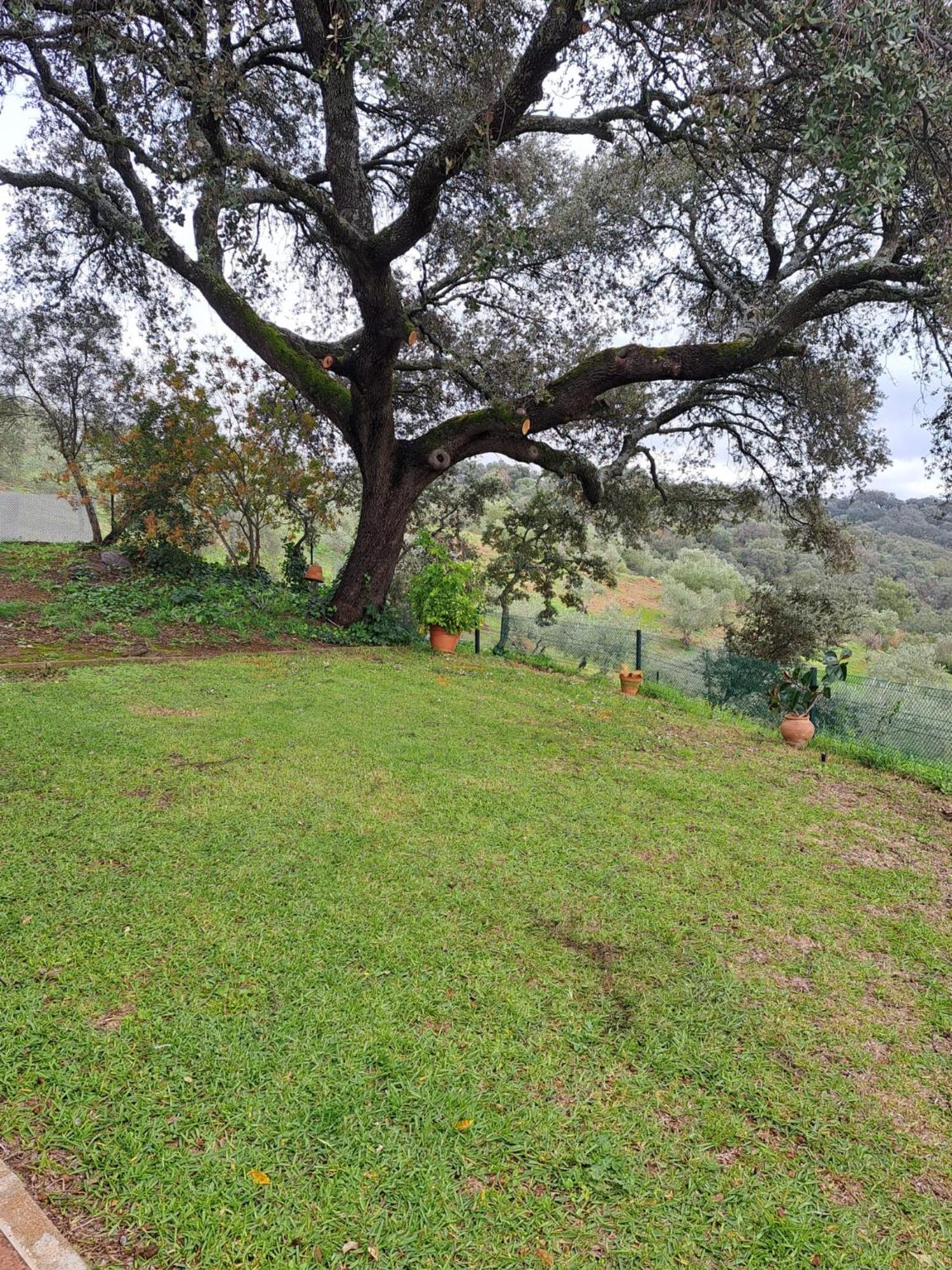 Casa Rural Villa Manuela Cazalla de la Sierra Dış mekan fotoğraf