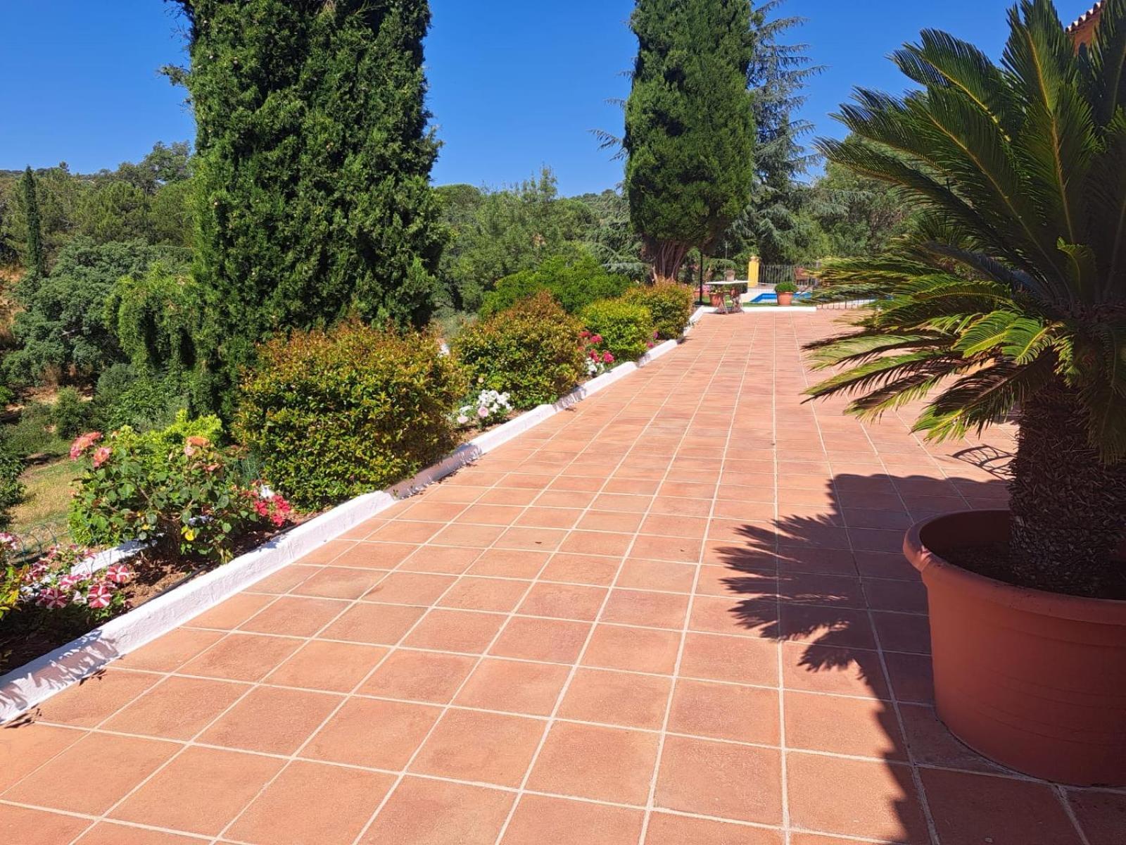 Casa Rural Villa Manuela Cazalla de la Sierra Dış mekan fotoğraf