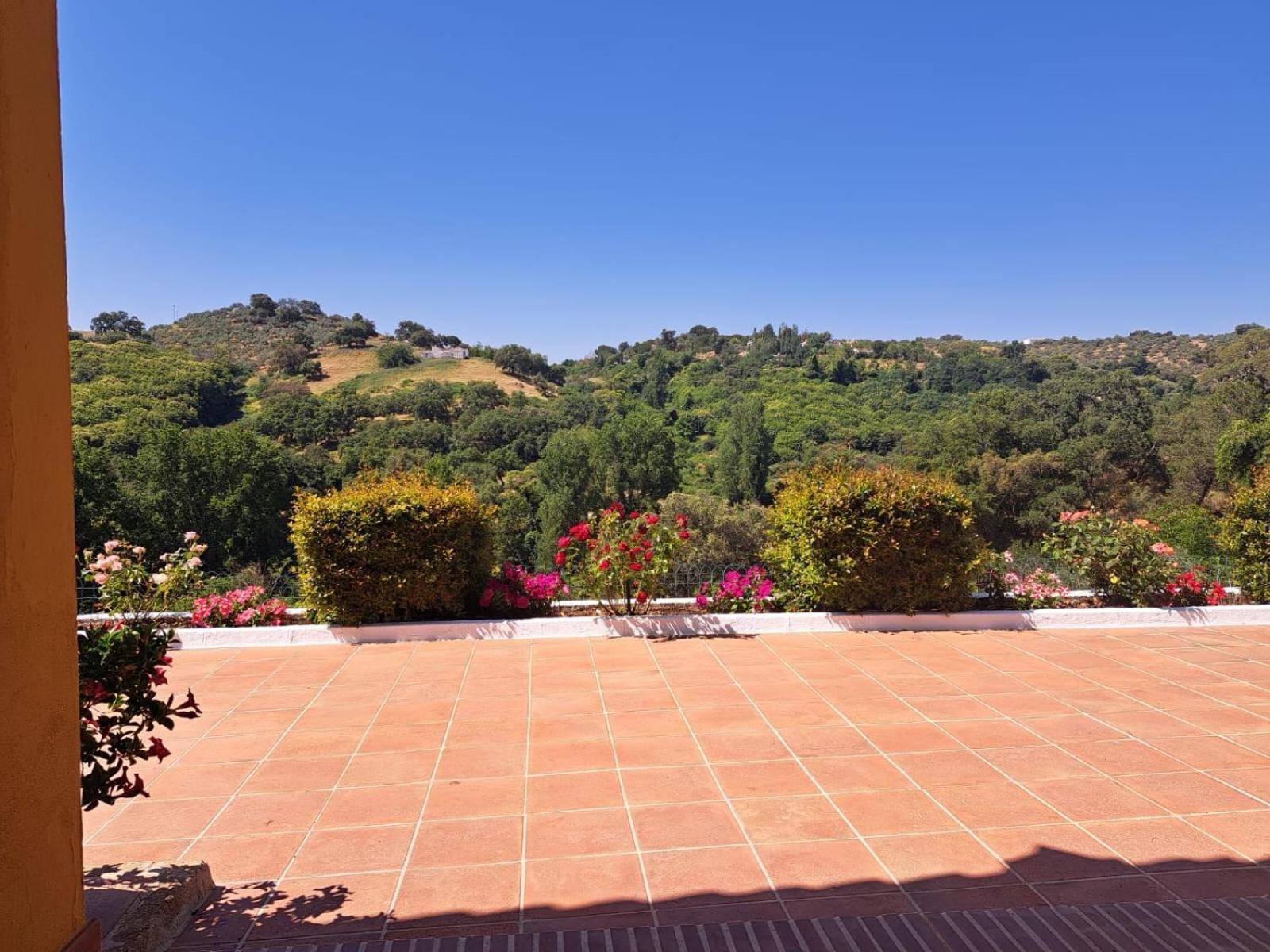 Casa Rural Villa Manuela Cazalla de la Sierra Dış mekan fotoğraf